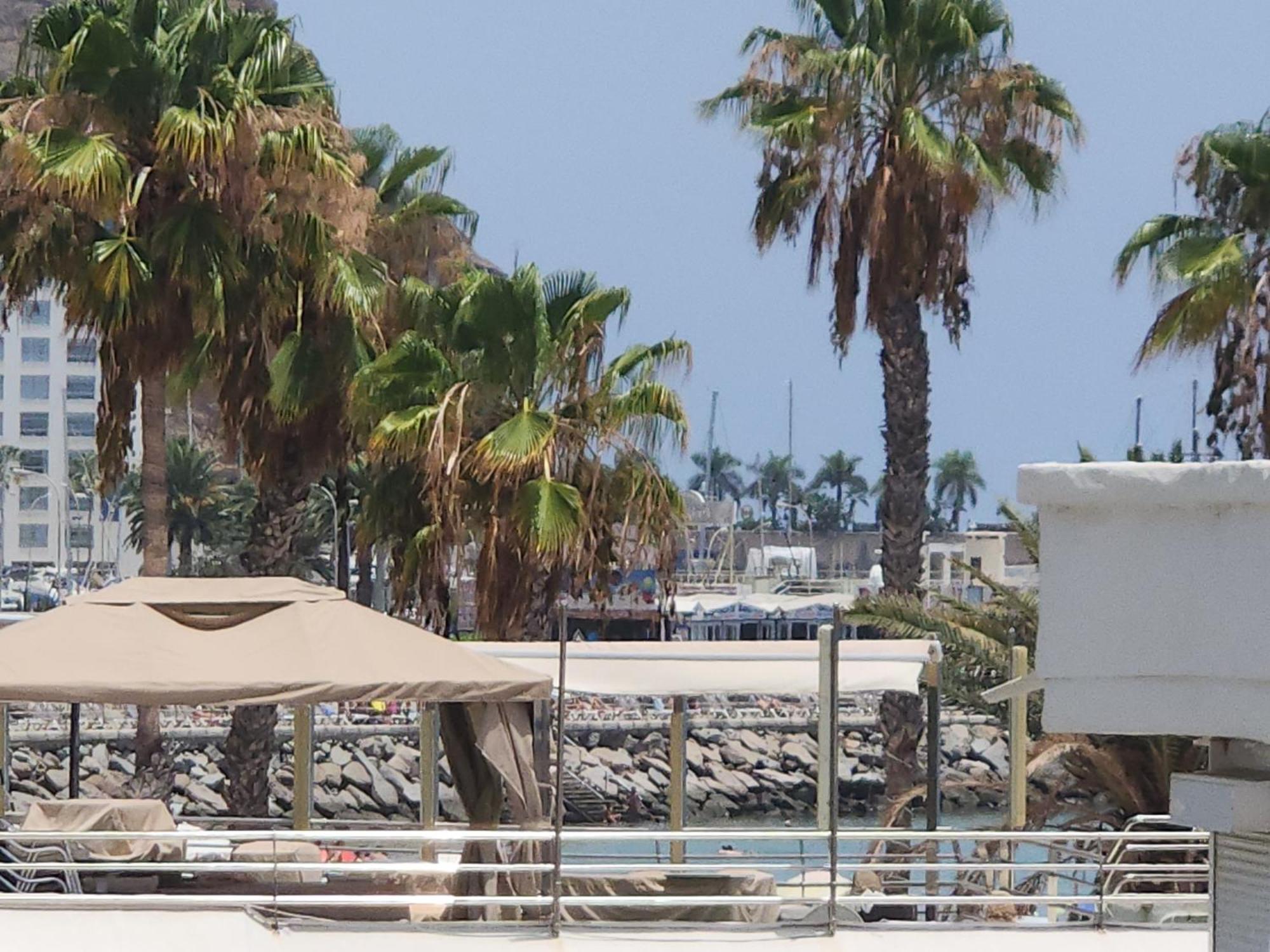 Modern Ground Floor Apartment , A Few Steps From The Beach Mogán Exterior foto